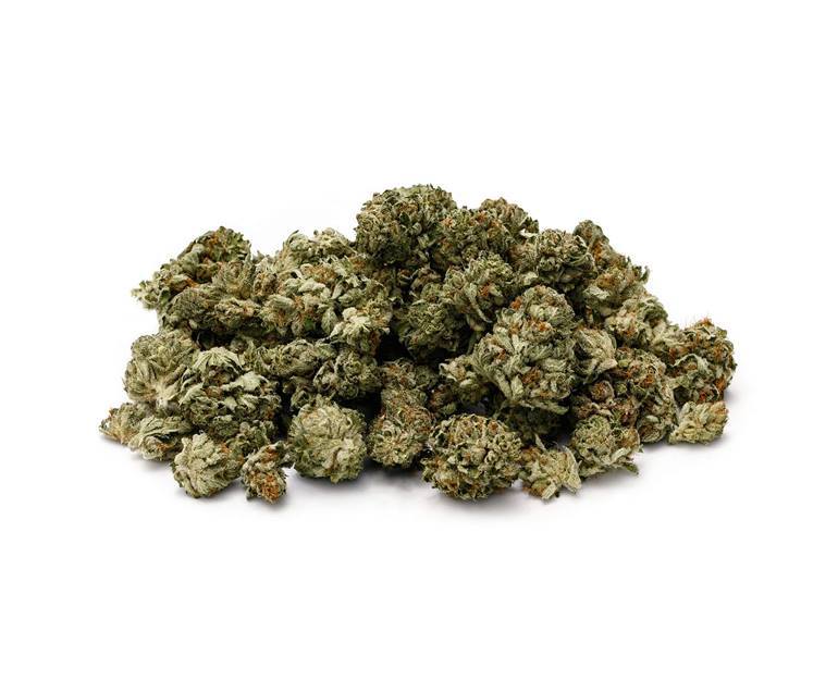 Sativa
