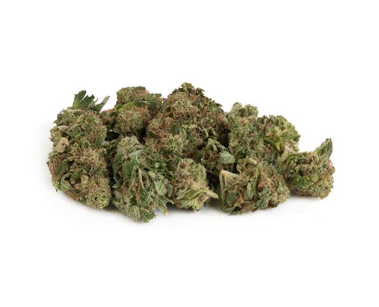 White Widow