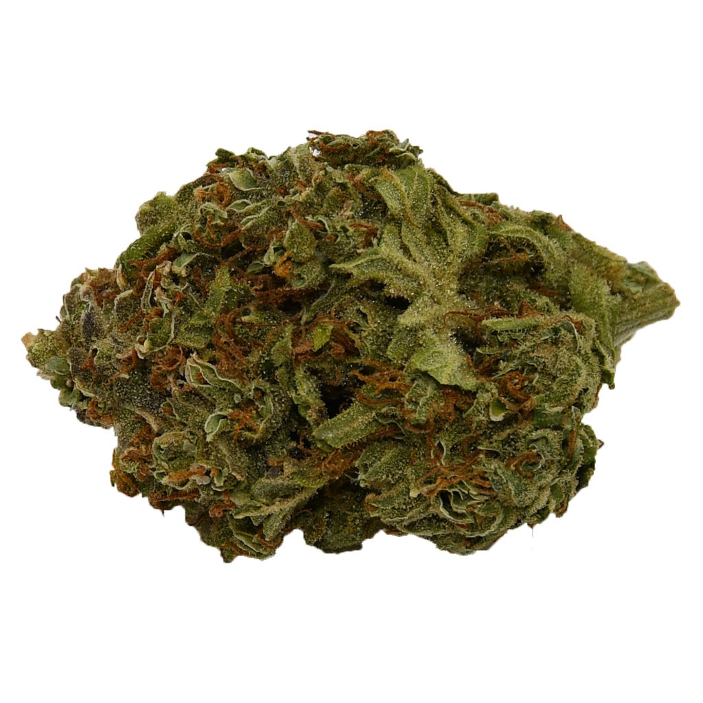 BC Tangerine Dream