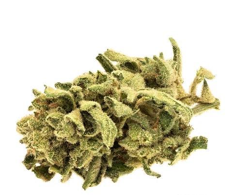 Monkey Glue
