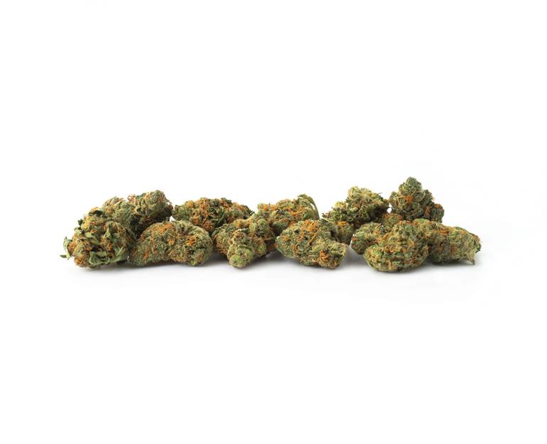 Sativa