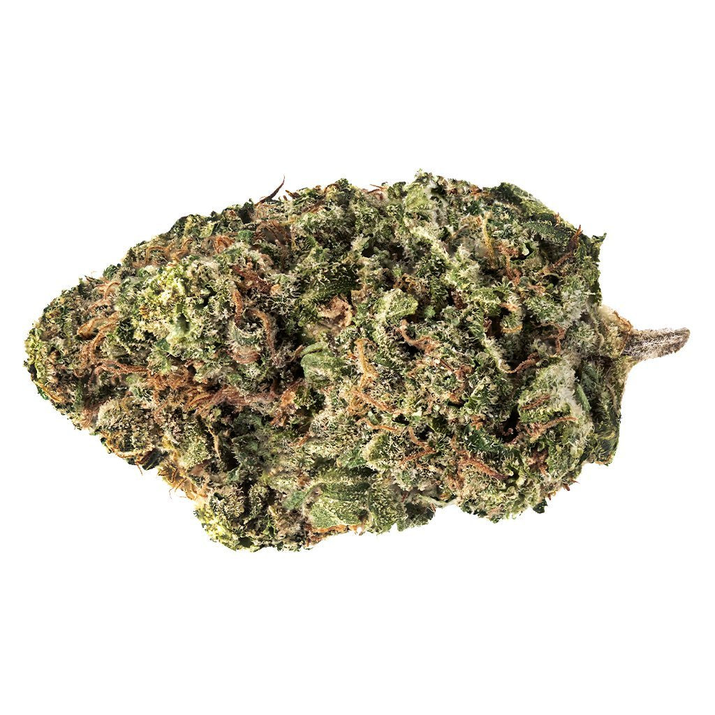 Jack Haze