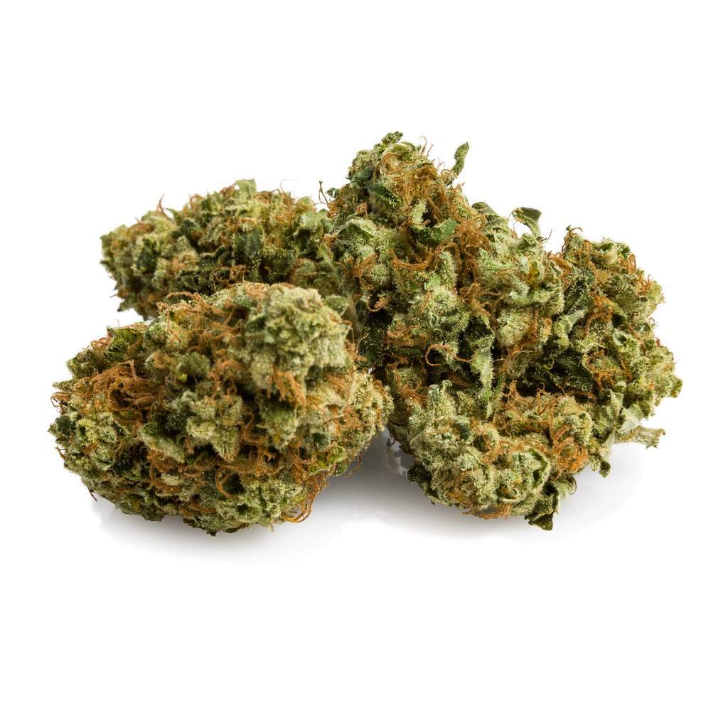 MK Ultra