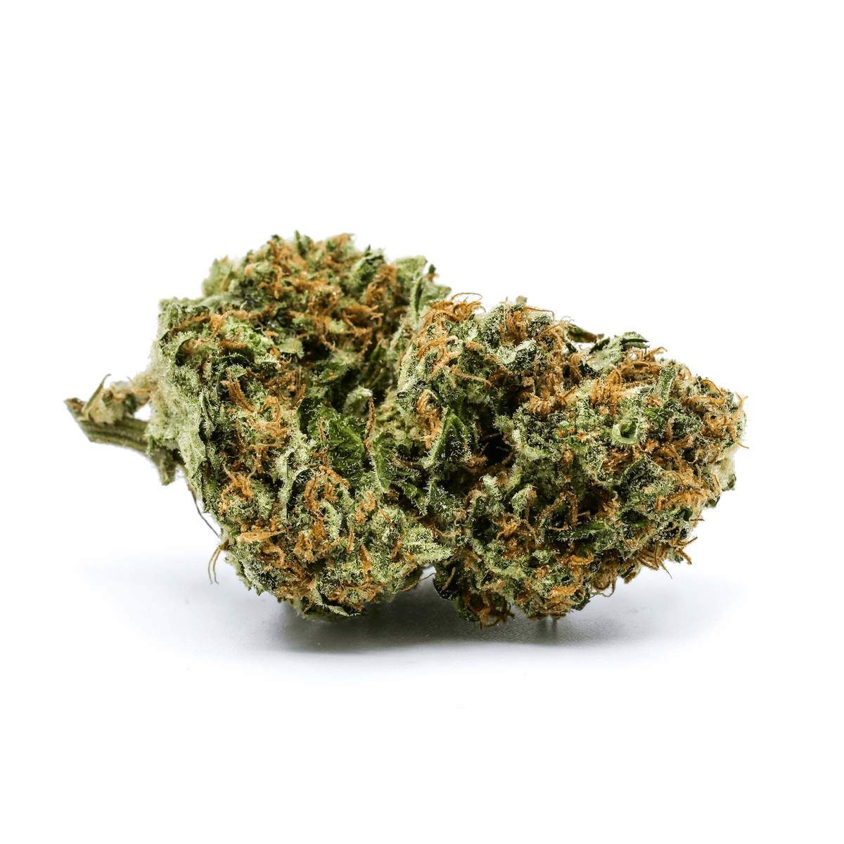 White Widow Haze