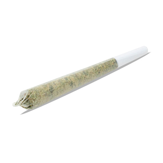 Saturday - Saturday Night Pre-Roll
