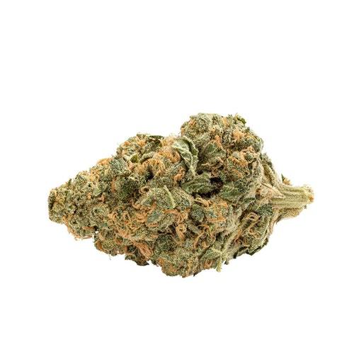 Indica