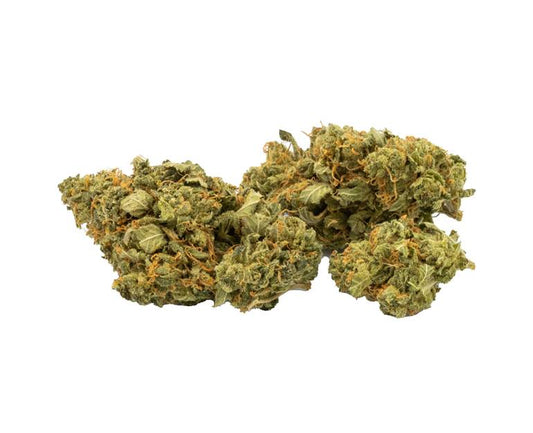 Oregon Golden Goat
