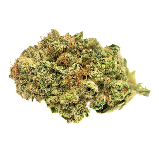 Jack Herer