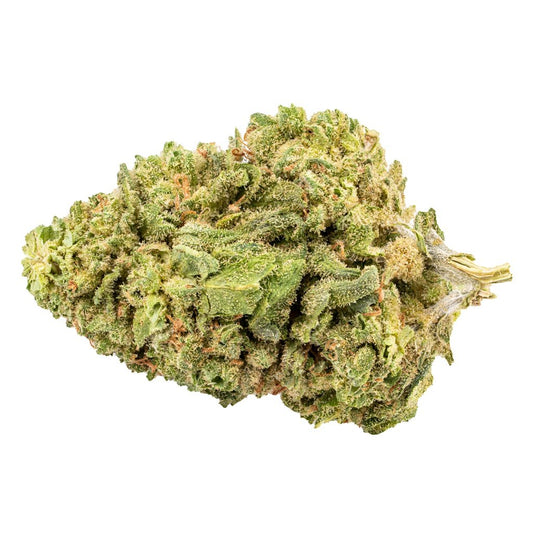 Sativa!