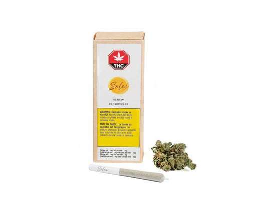 Renew Pre-Roll