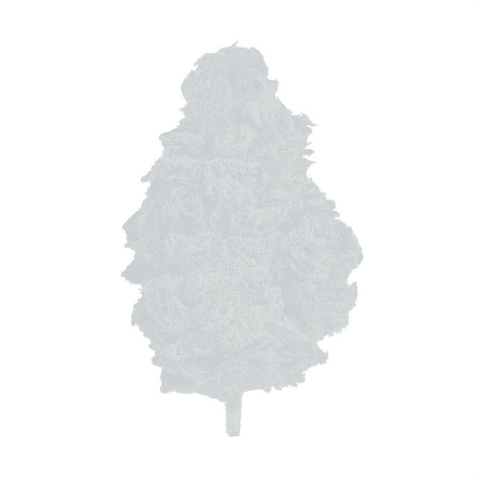 Indica