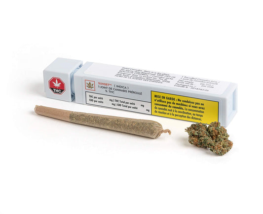 Sunset Pre-Roll