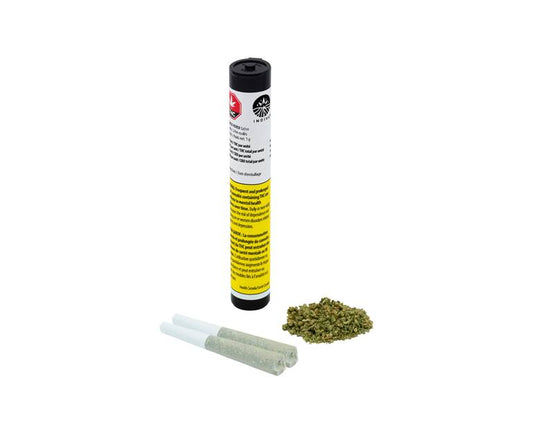 Jack Herer Pre-Roll
