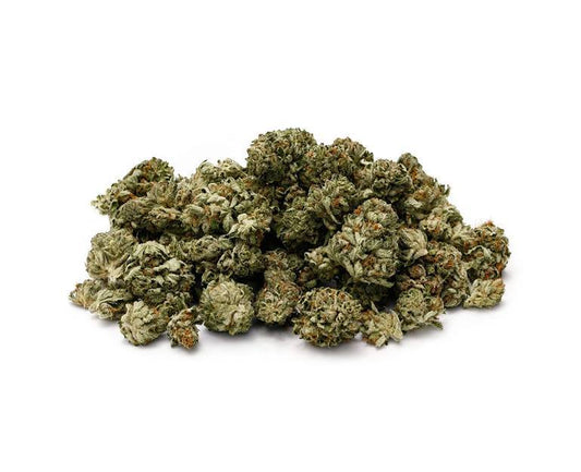 Sativa