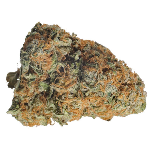 Sensi Star