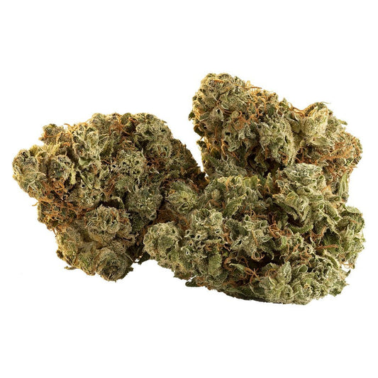 Spark Buds