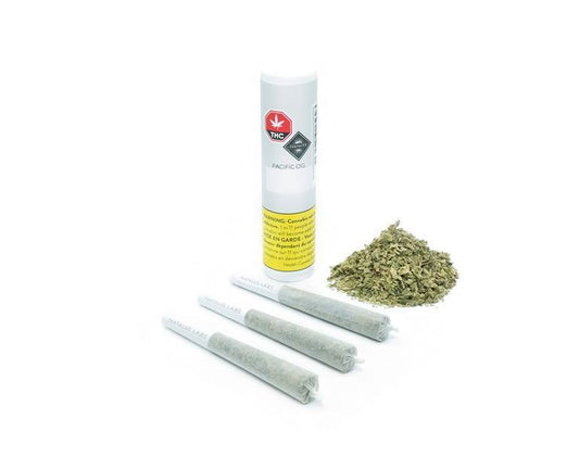 Pacific OG Pre-Roll
