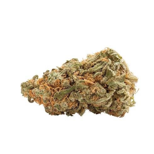 Sativa