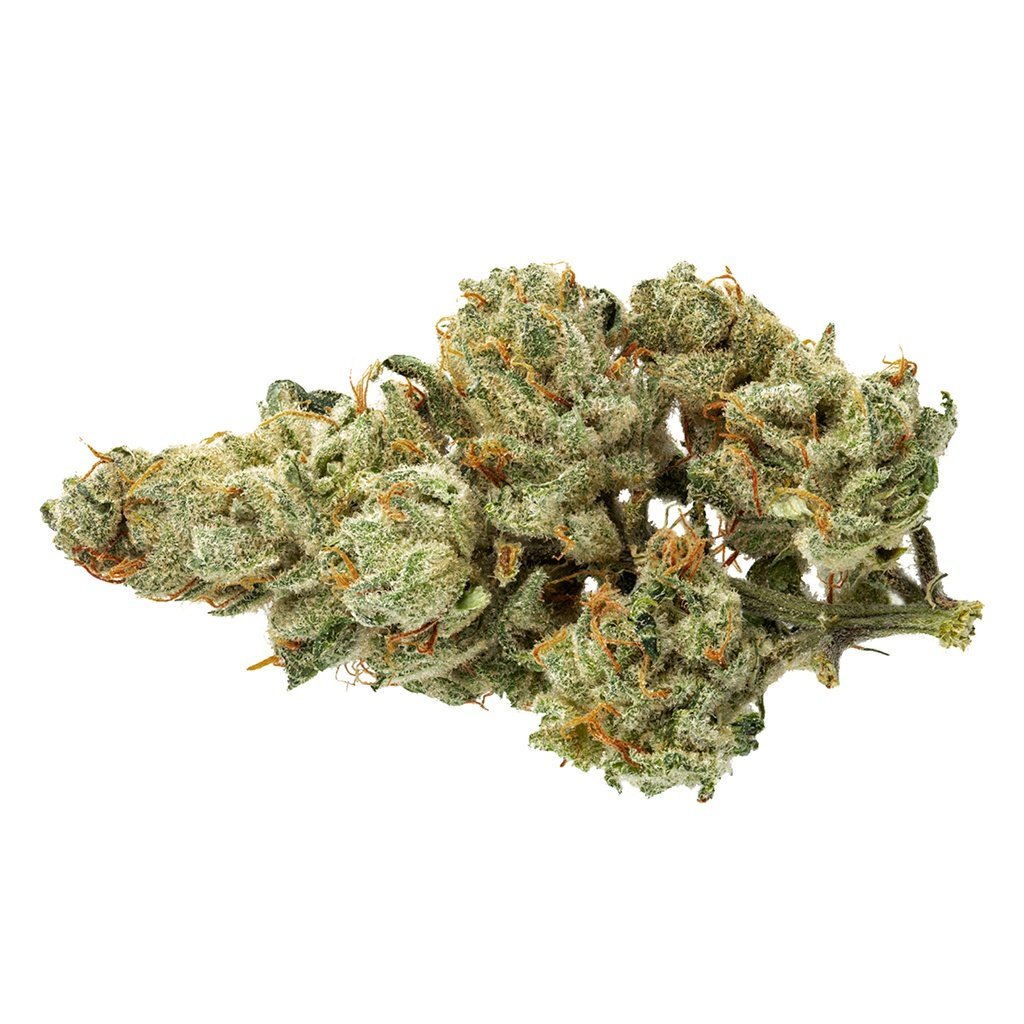 Oregon Golden Goat