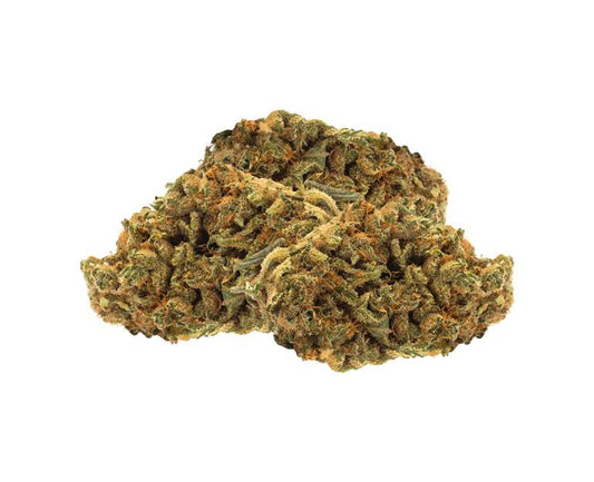 Indica