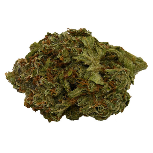 BC Tangerine Dream