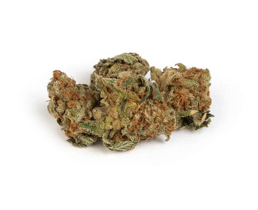 Sensi Star