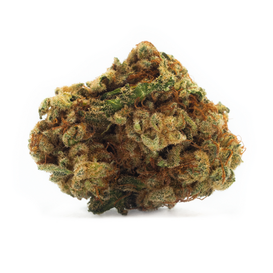 Sativa