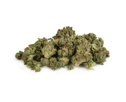Alien Dawg