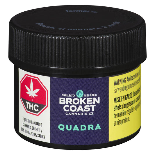 Broken Coast - Quadra