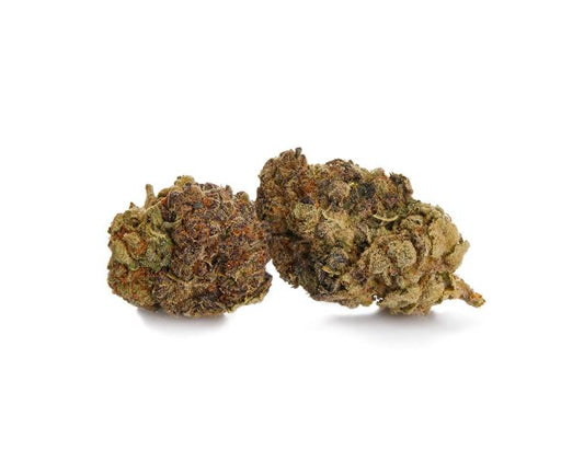 Apple Fritter