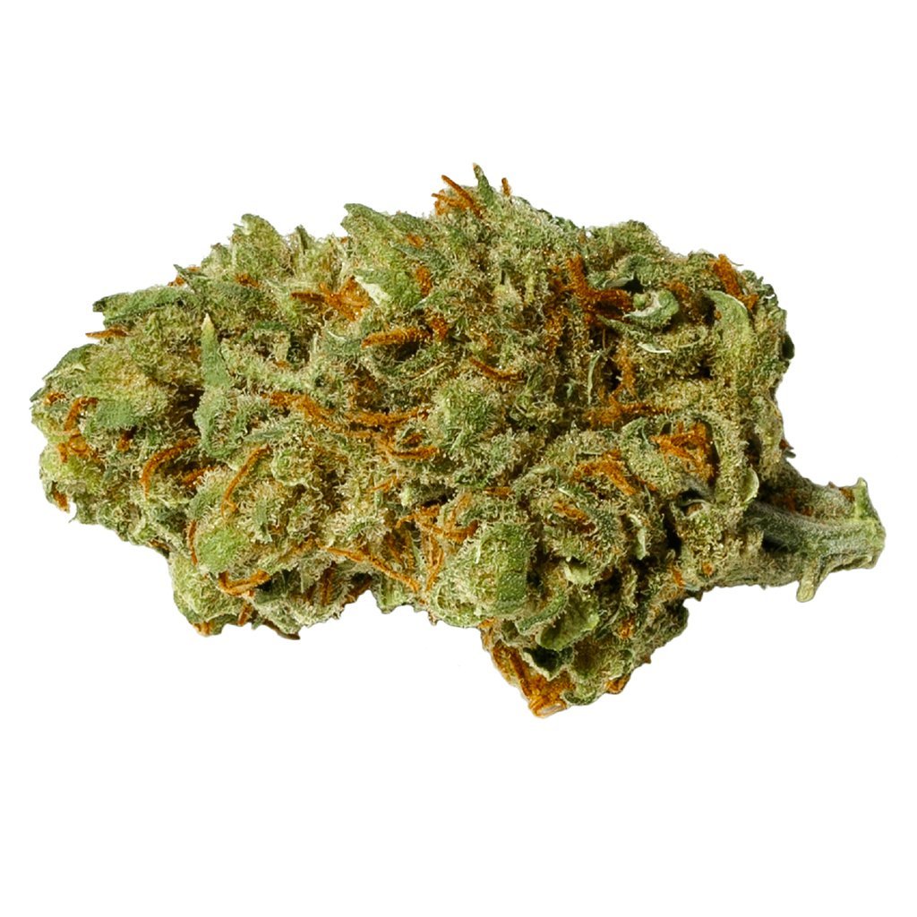 Critical Kali Mist