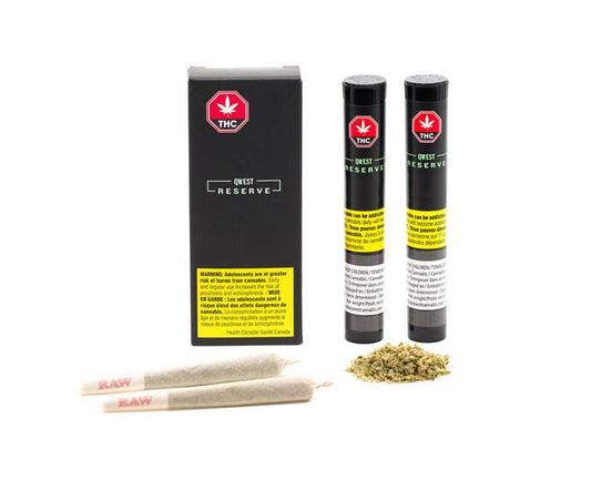 Gelato 41 Pre-Roll