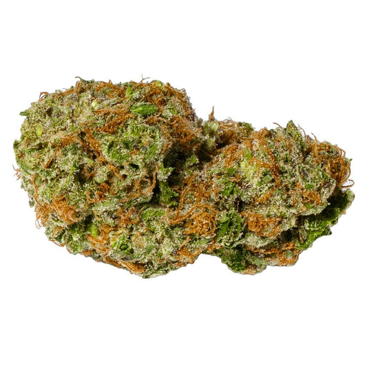 White Rhino