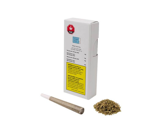 Jean Guy Pre-Roll