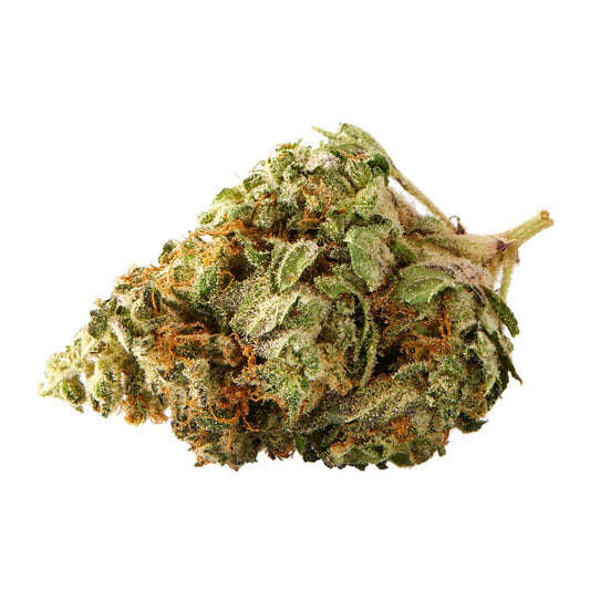 Citrus Punch