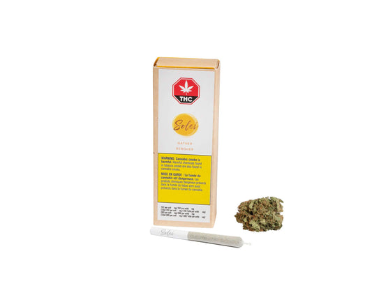Gather Pre-Roll