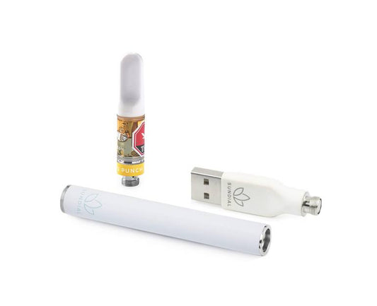 Citrus Punch Vape Kit