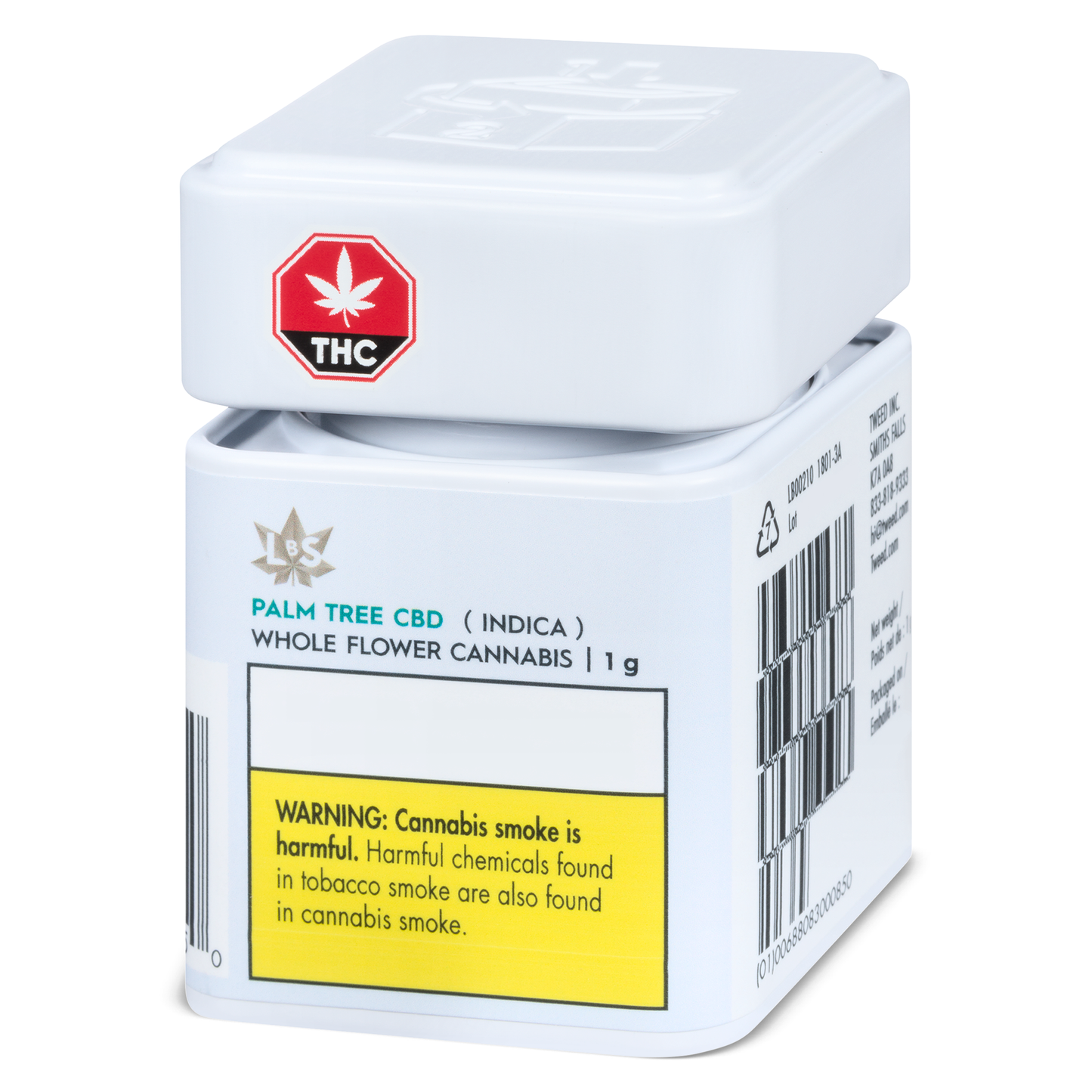 LBS - Palm Tree CBD