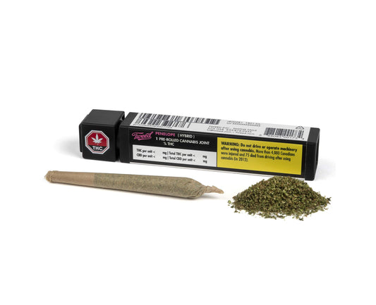Penelope Pre-Roll