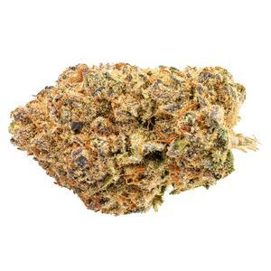 Indica!