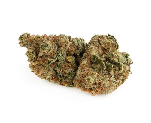 Sensi Star
