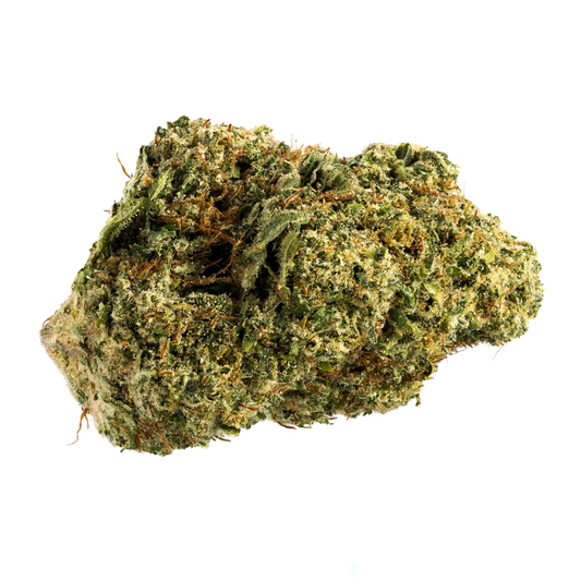 Sensi Star