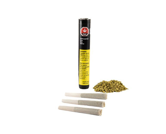 NOR'EASTER Plus Pre-Roll