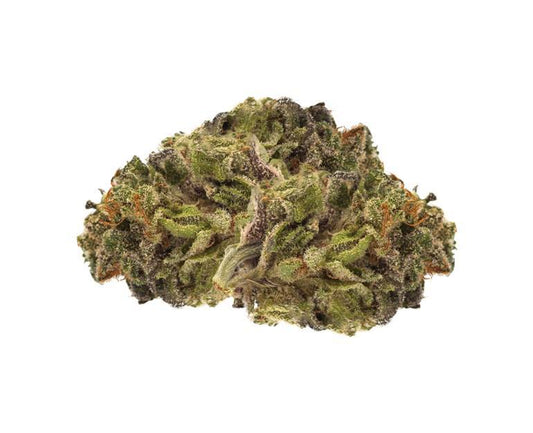 Sativa