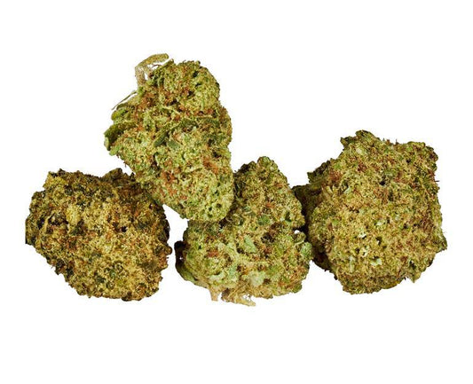 White Shark