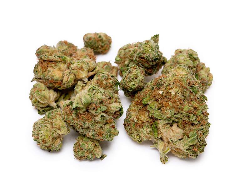 Dealer's Pick Indica