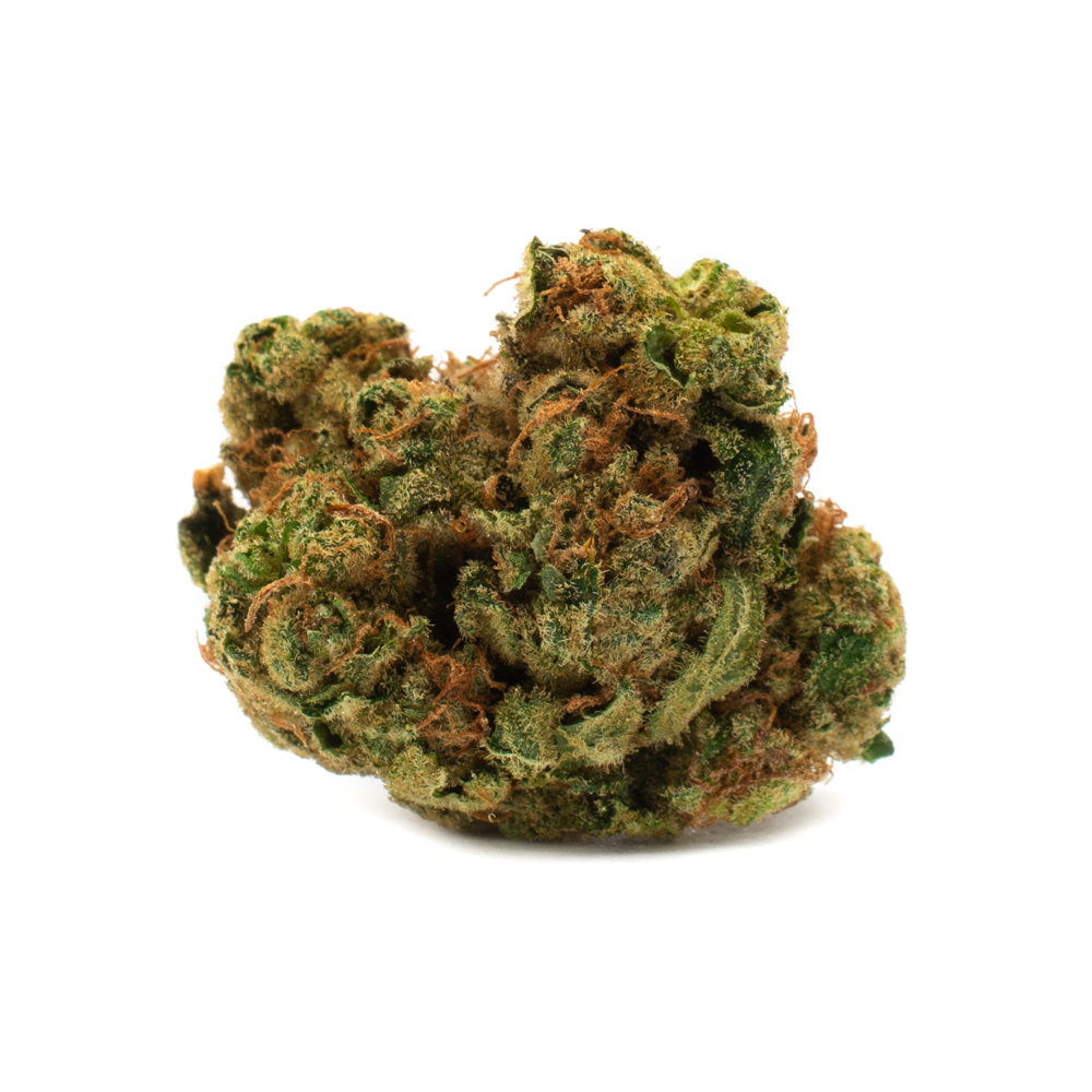 Indica