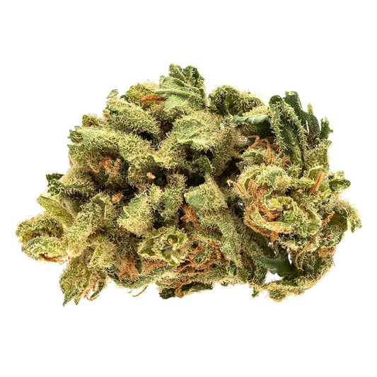 Raider Kush
