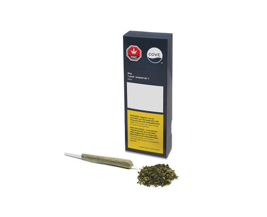 Rise Pre-Roll