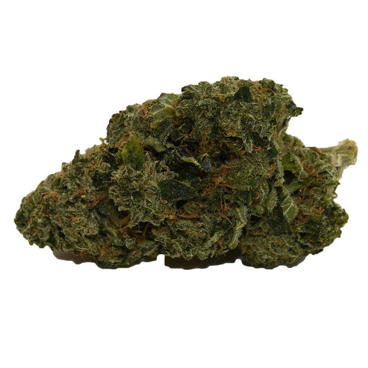 BC GSC